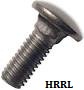 Carriage Bolts Manufacturer